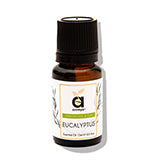 Eucalyptus Oil