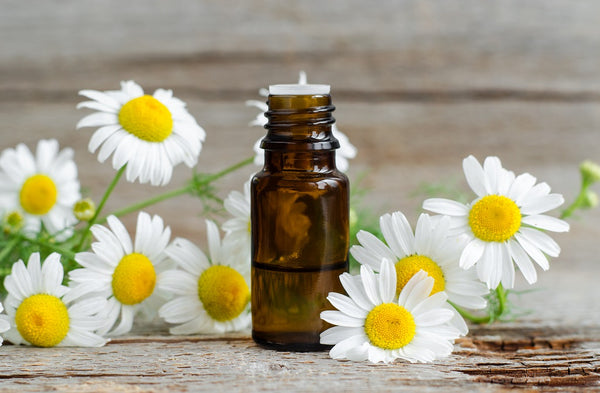 31 Best Essential Oils For Your Skin Problems – Vedix