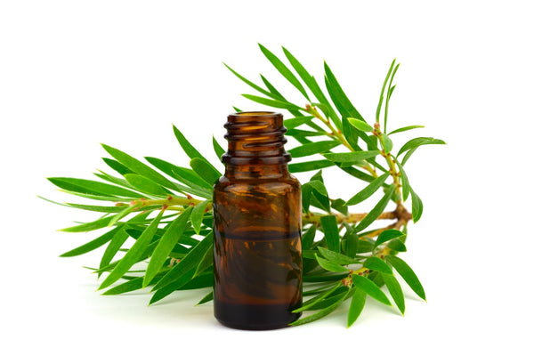 8 Essential Oils With Serious Skin Benefits - Best Natural Oils