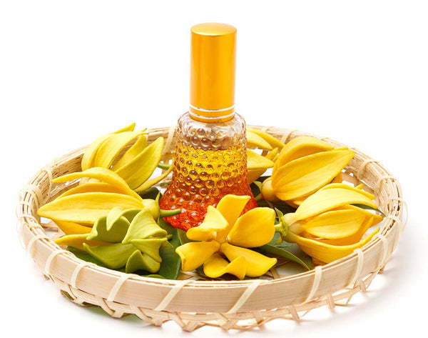 Ylang Ylang Essential Oil