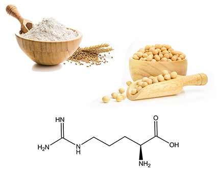 outstanding-result-wheat-amino-acid