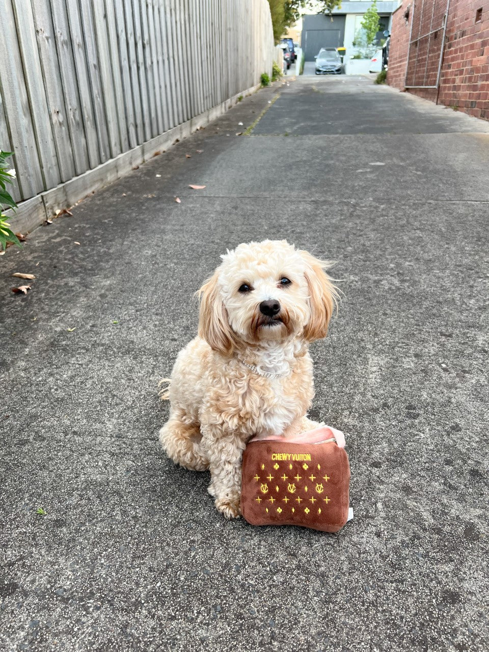 Chewy Vuiton Red Purse Toy - King of Paws