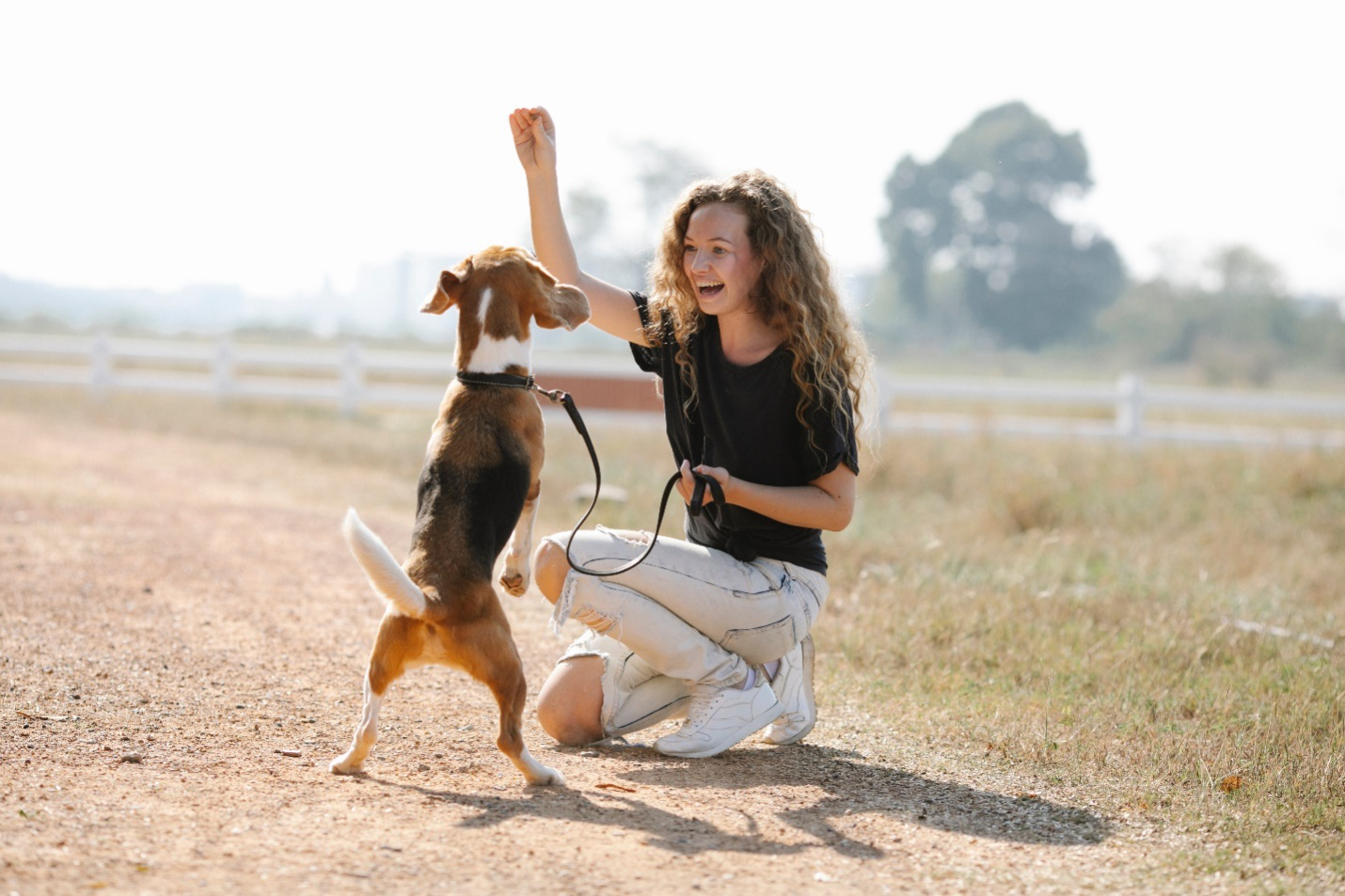 A lady trains her dog using a leash and collar