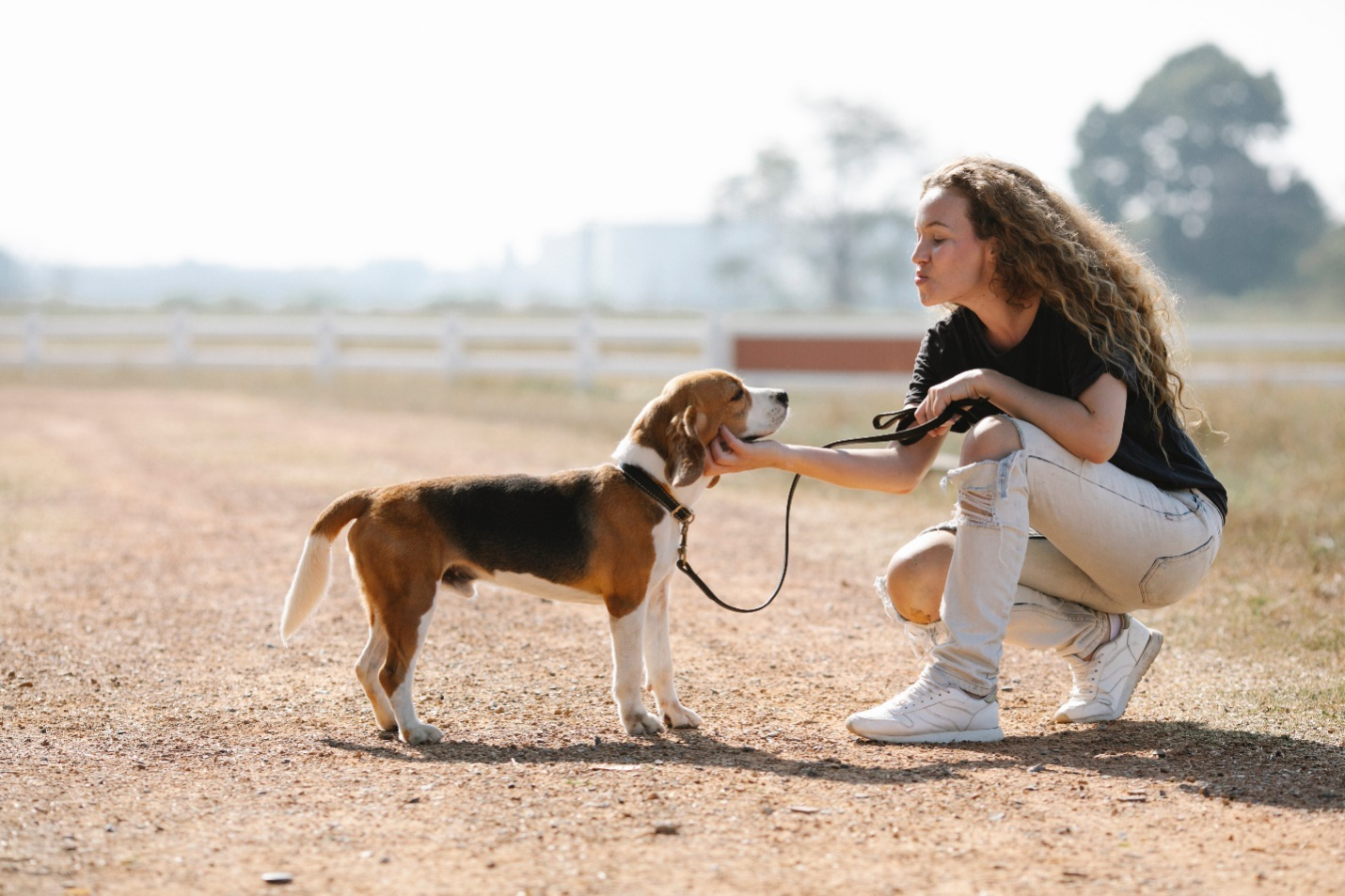 A lady scratches her dog's neck during a training session