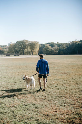 An Anonymous guy strolling with a dog in the field