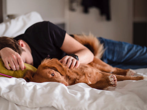 Dog sleeping next to his owner.