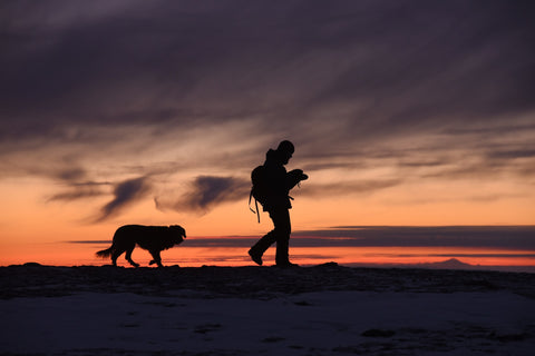 Dog and Human coming in from a late afternoon hike