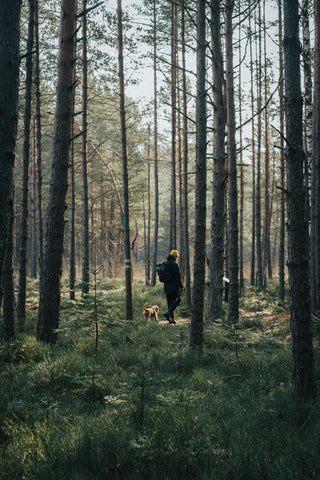 Dog and Human walking through the woods