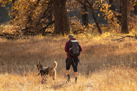 Dog and Human on a Hiking Trail