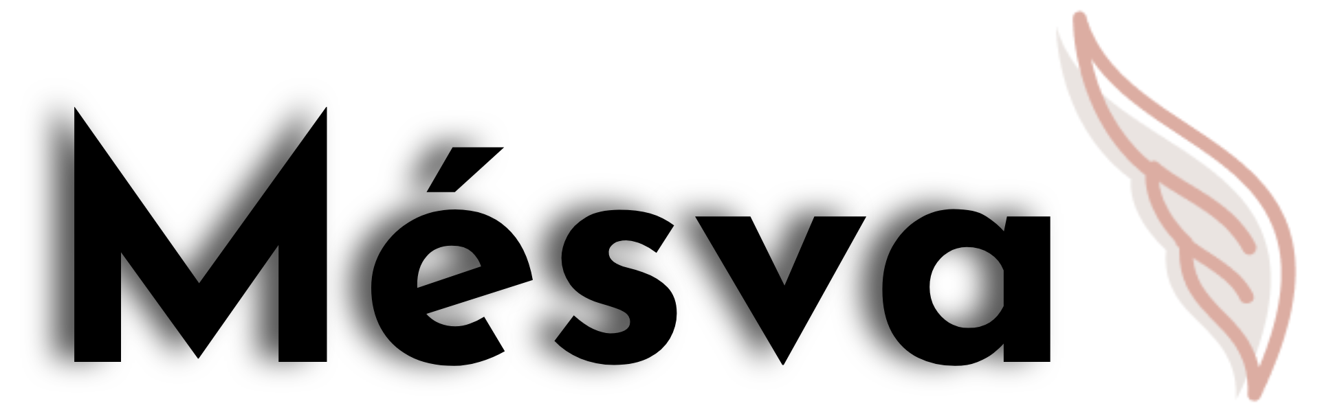 Mesva Store