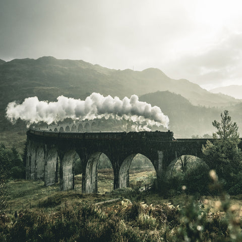 Tour en tren por Alaska