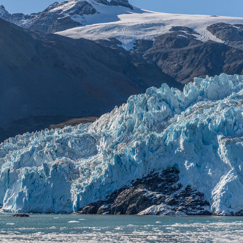 Fiordos de Kenai