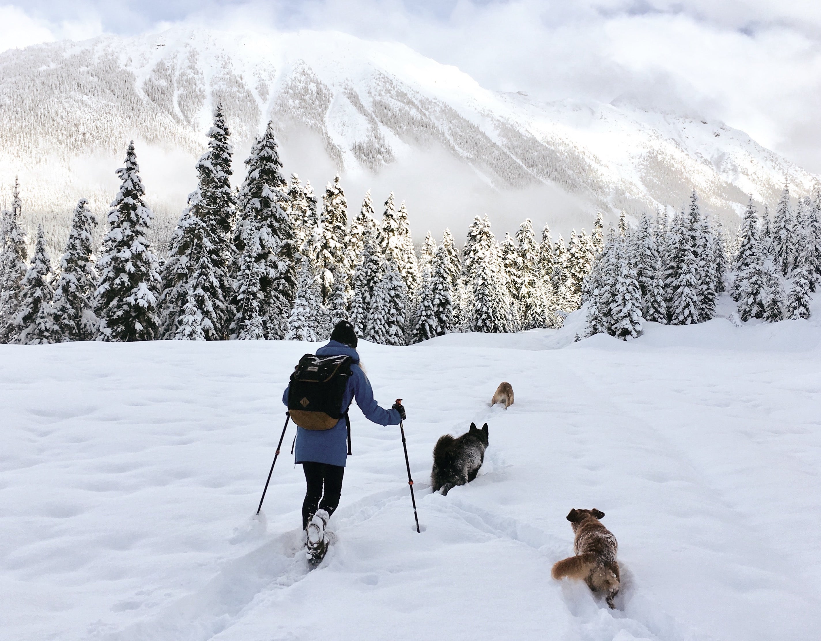 dog-friendly snowshoeing trails near Whistler