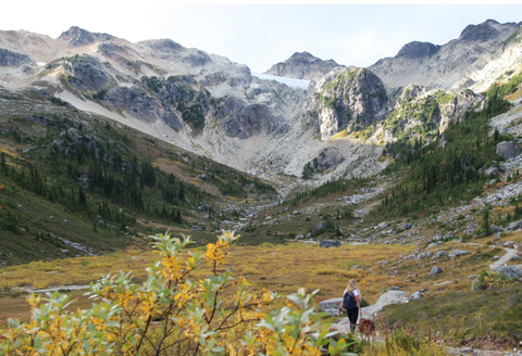 Woman hiking in mountains of Whistler with dog