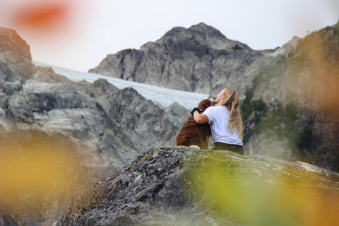 Dog and woman in the mountains on an autumn day