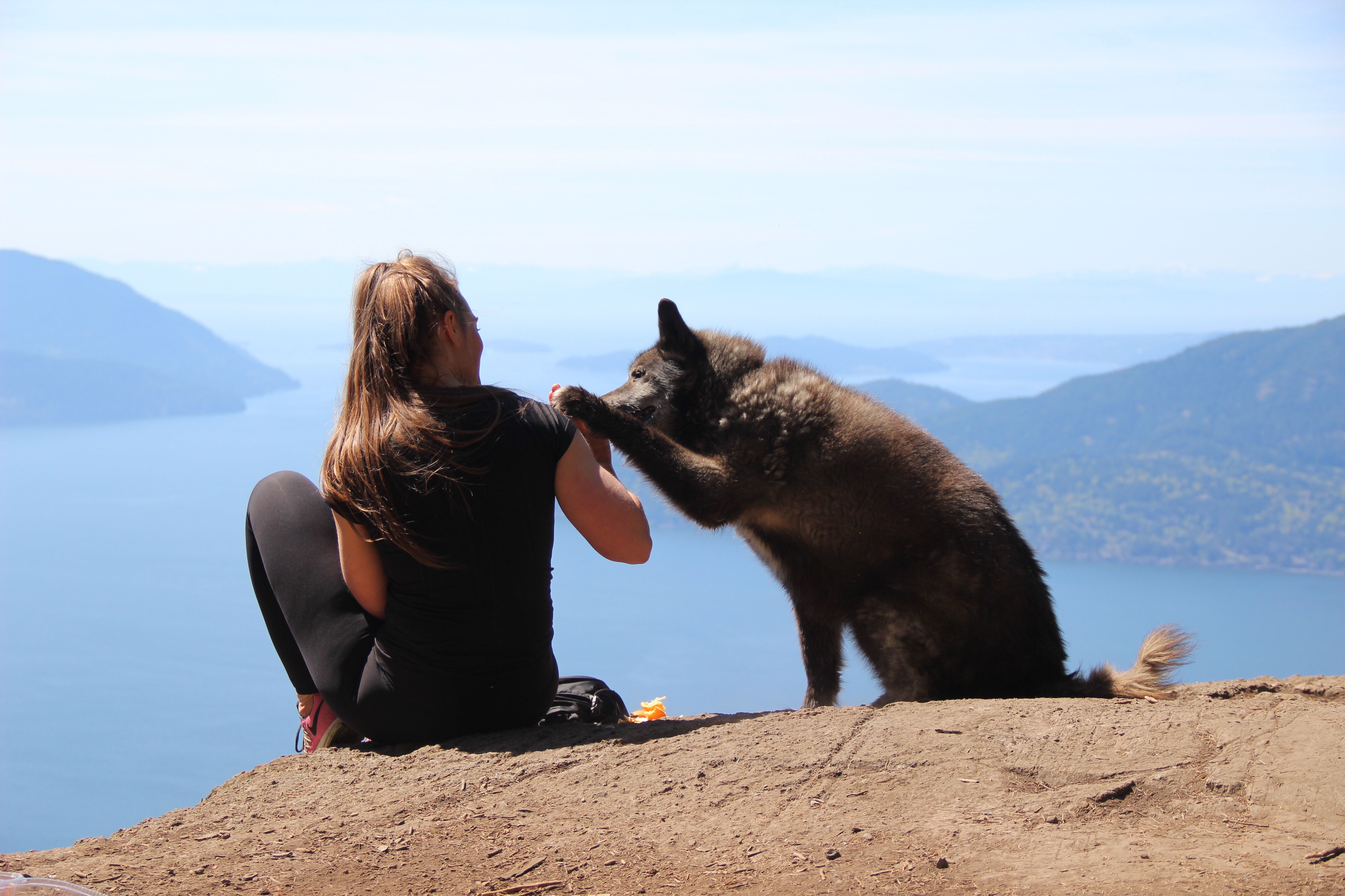 Dog and woman in nature