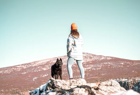 Dog hiking with woman