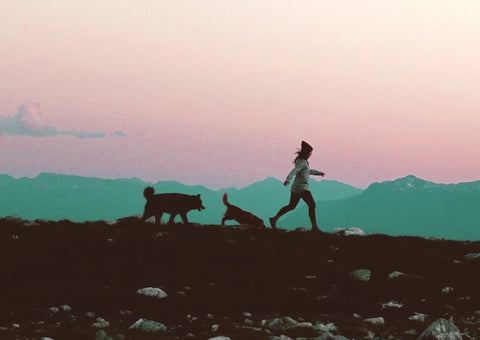 Woman hiking with dogs in Whistler