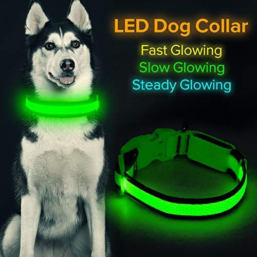 led dog collar