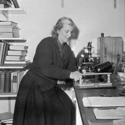 Dr Dorothy Hodgkin