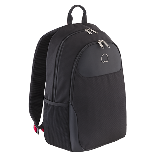 delsey parvis backpack