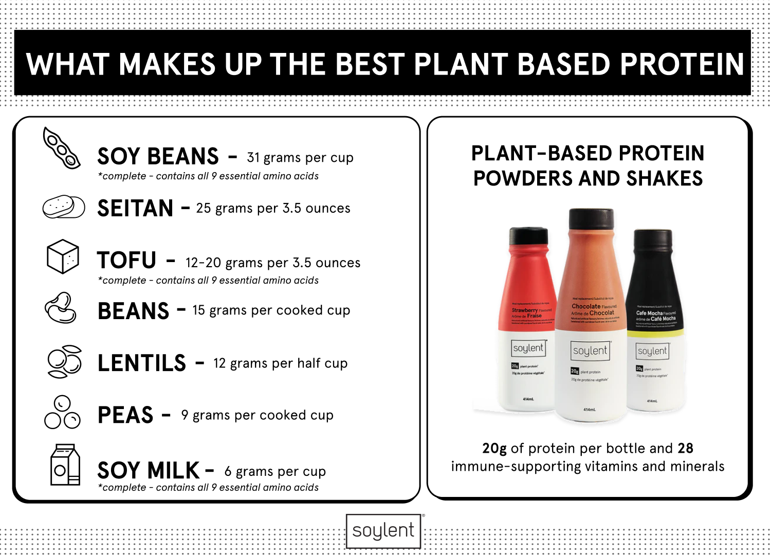 What Makes Up the Best Plant-Based Protein