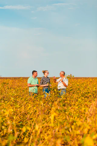 People standing in soy field