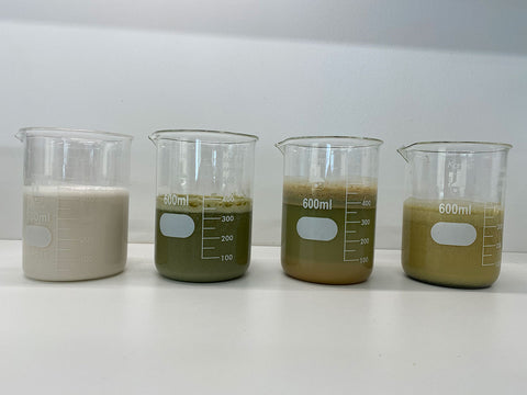 Different plant proteins in solution (from left to right): Soy protein isolate, hemp protein, pea protein, rice protein.