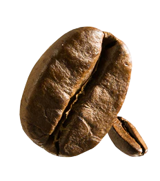 coffee bean