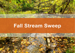 Fall Stream Sweep
