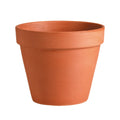 Red terracotta pot