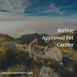 Airline Approved Pet Carrier