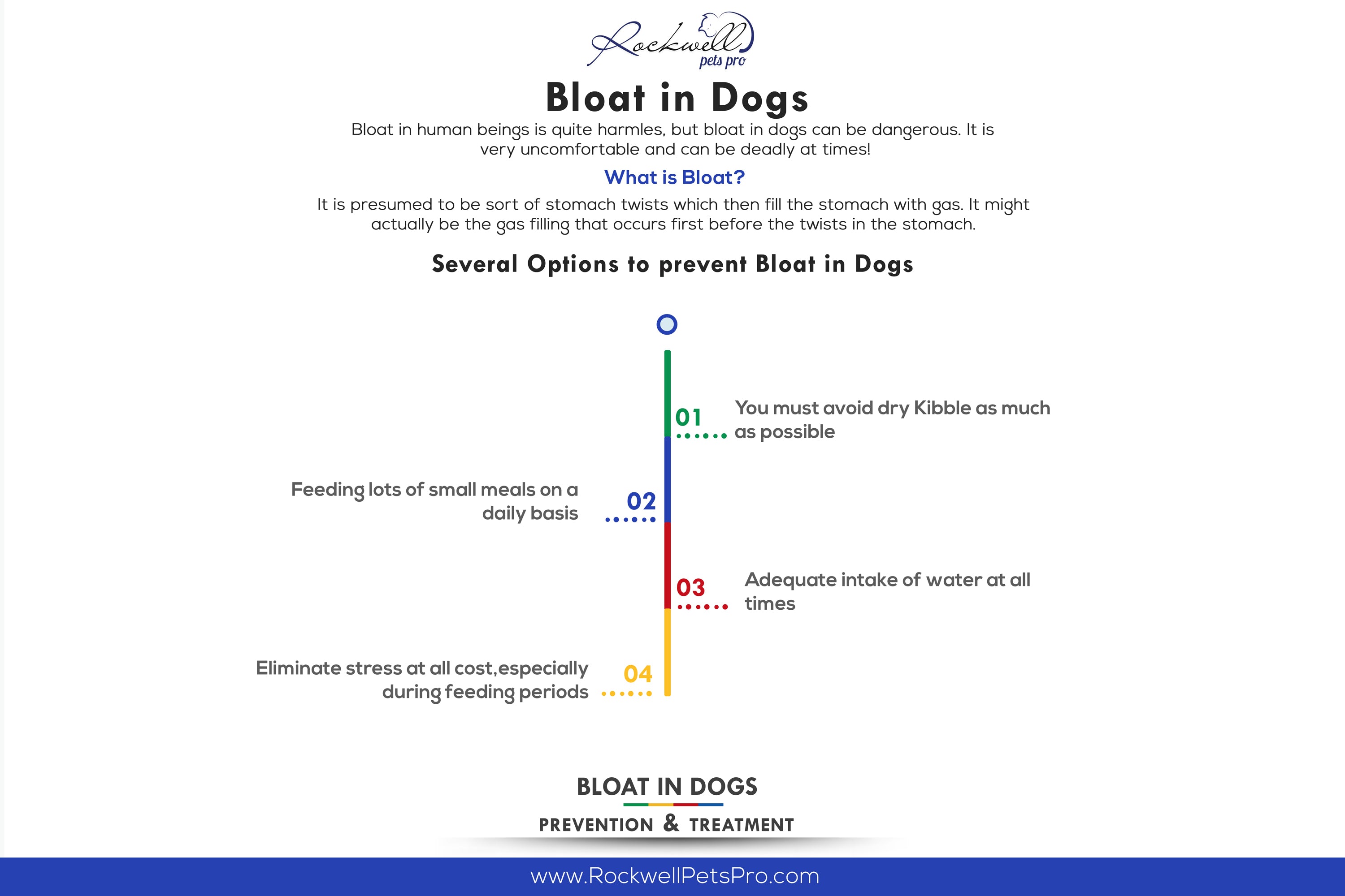 Bloat in Dogs