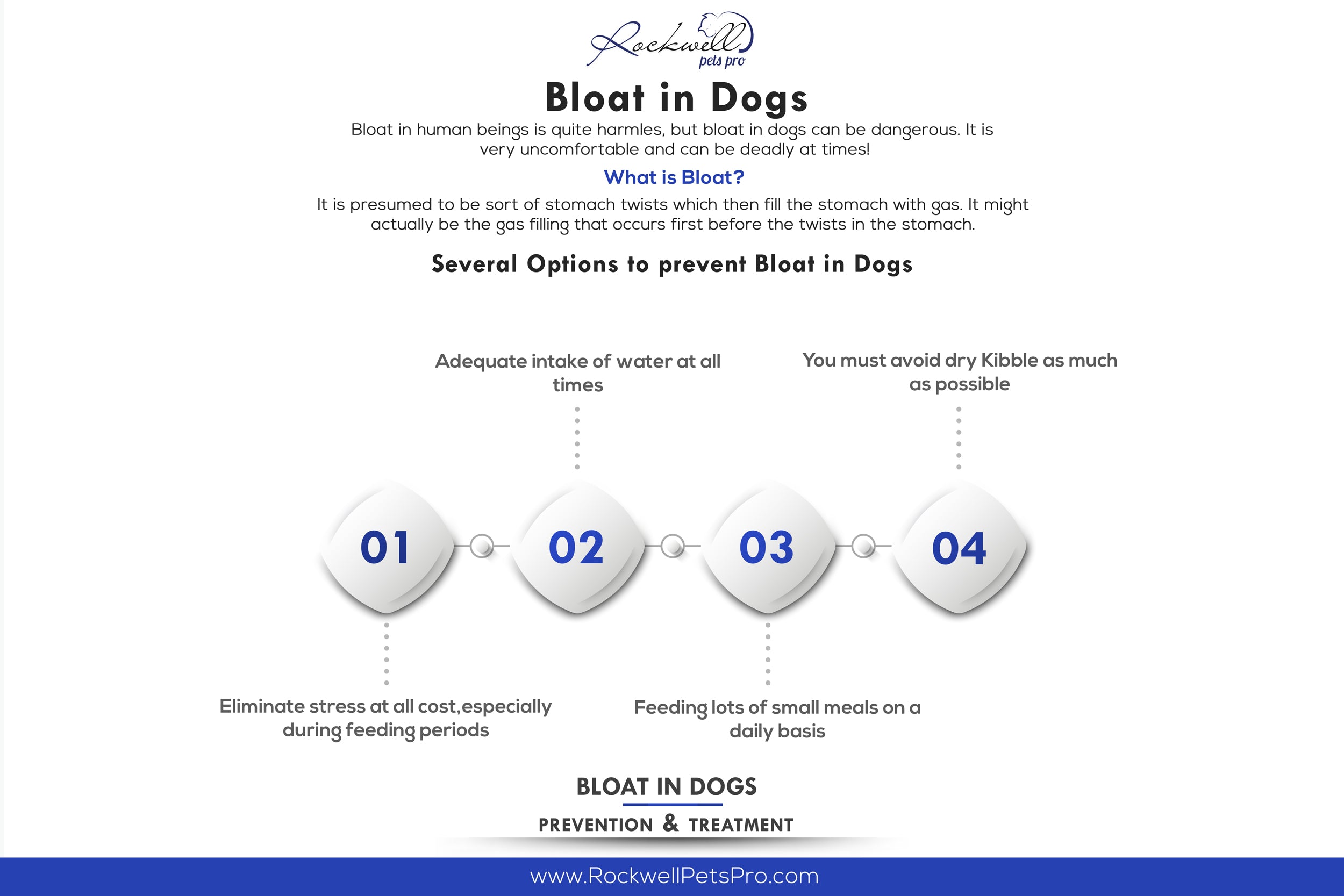 Bloat in Dogs