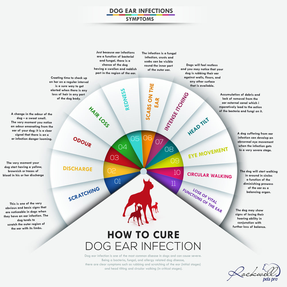 How To Cure Dog Ear Infection