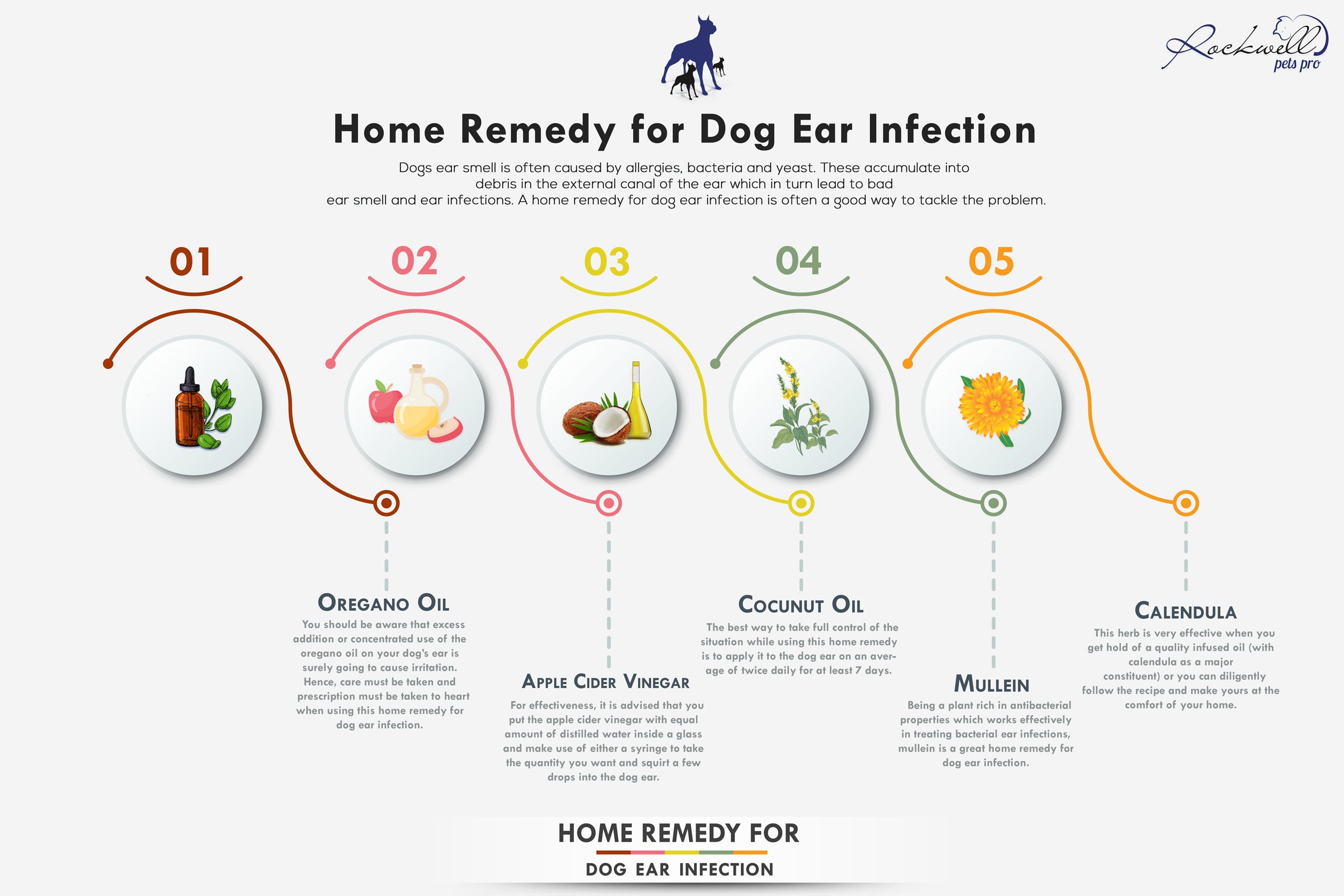 Home Remedy For Dog Ear Infection – Rockwell Pets Pro