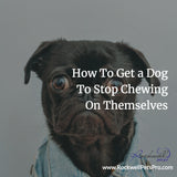 How Tо Gеt A Dоg To Stop Chewing On Themselves