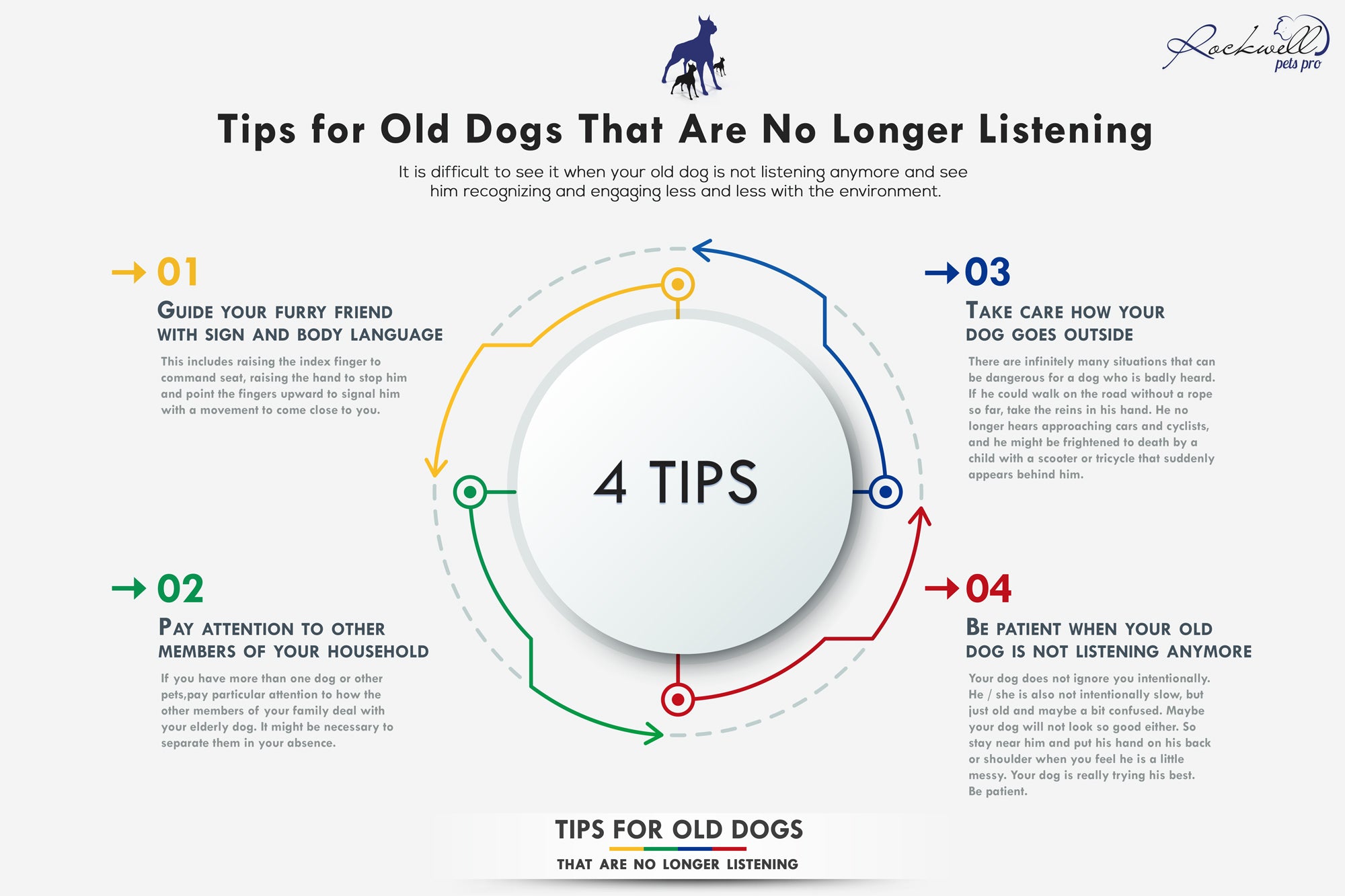 Tips For Old Dogs That Are No Longer Listening