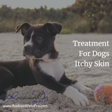 Treatment for dogs itchy skin