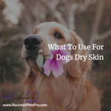 What To Use For Dogs Dry Skin