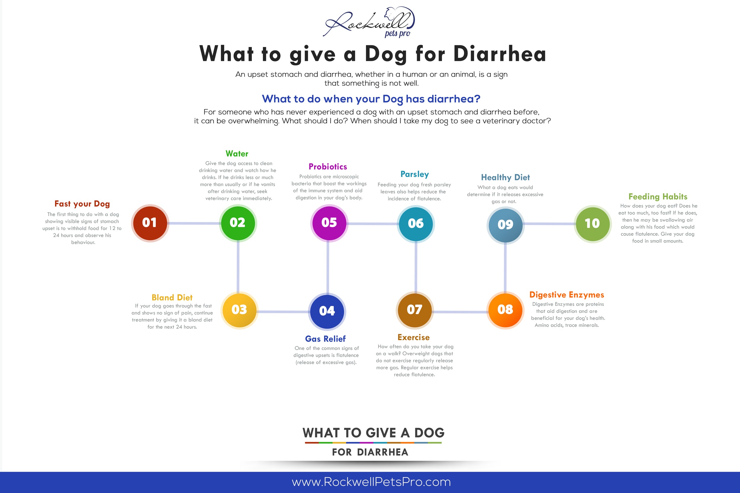 what to give dogs for diarrhea