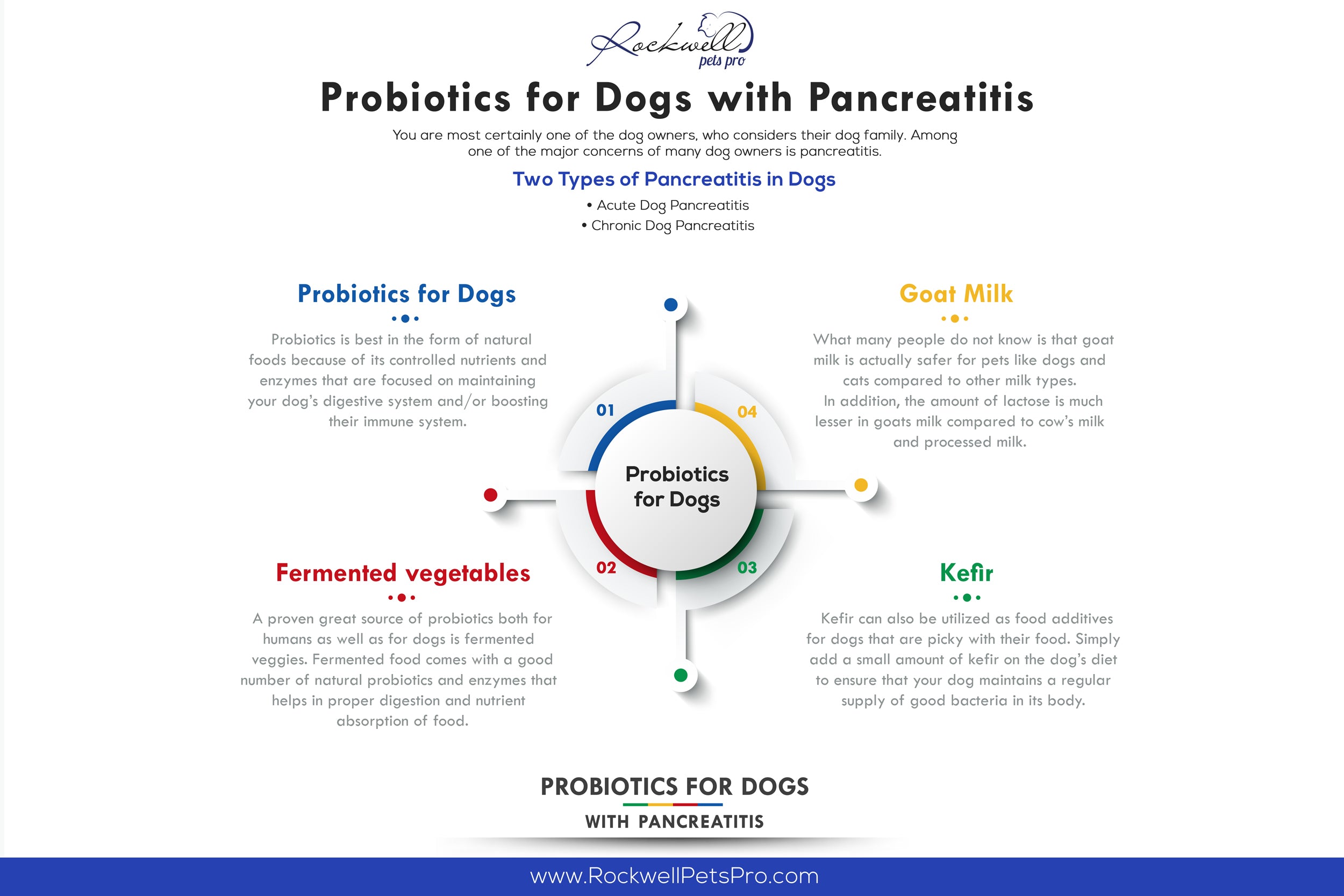 Probiotics For Dogs With Pancreatitis – Rockwell Pets Pro