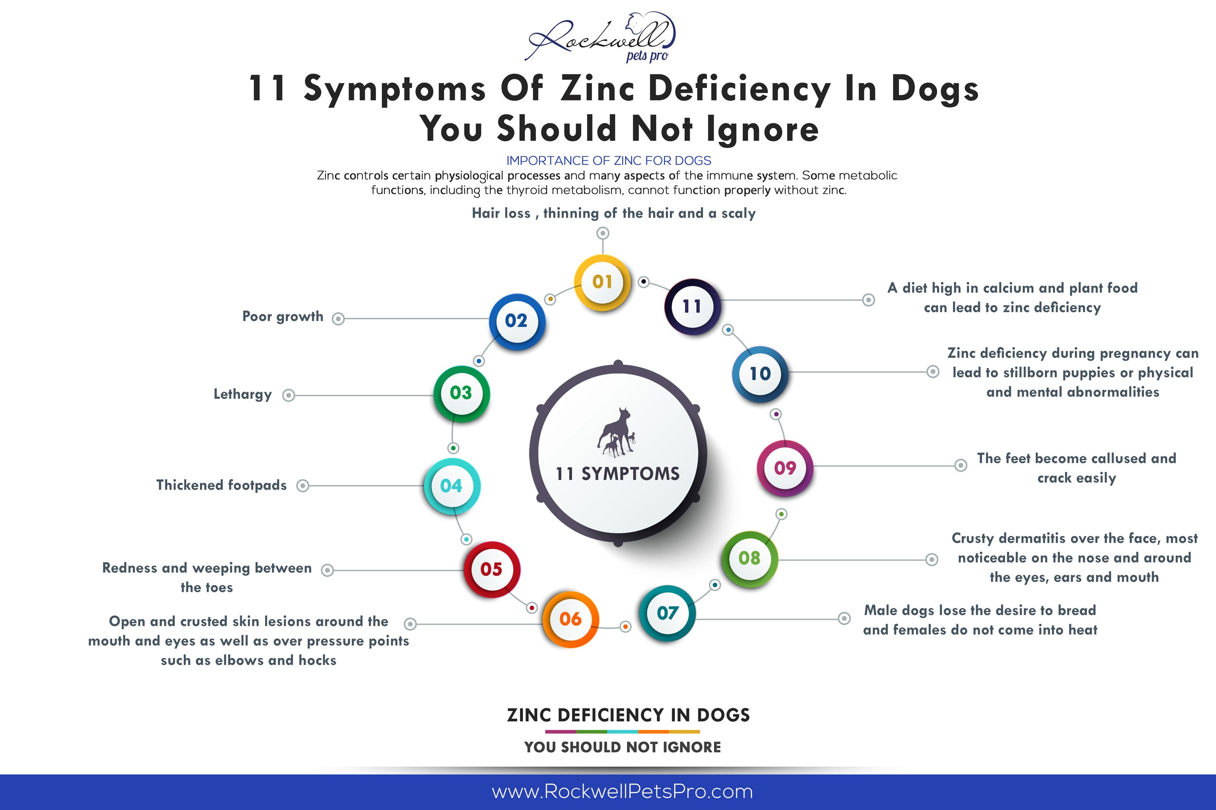 11 Symptoms Of Zinc Deficiency In Dogs You Should Not Ignore