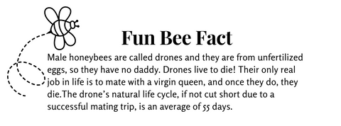 Fun Bee Fact 2