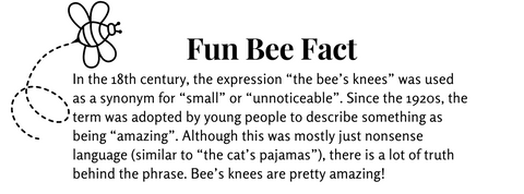Fun Bee Fact 1