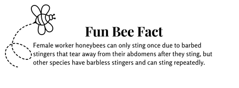 Fun Bee Fact 4