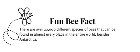 Fun Bee Fact 5