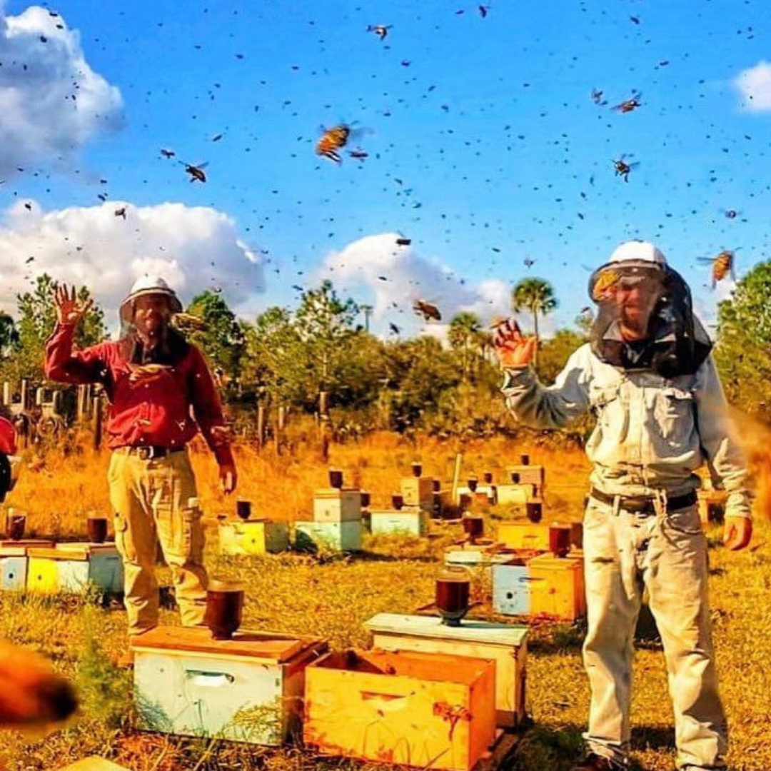 Wild Honeybee Farms