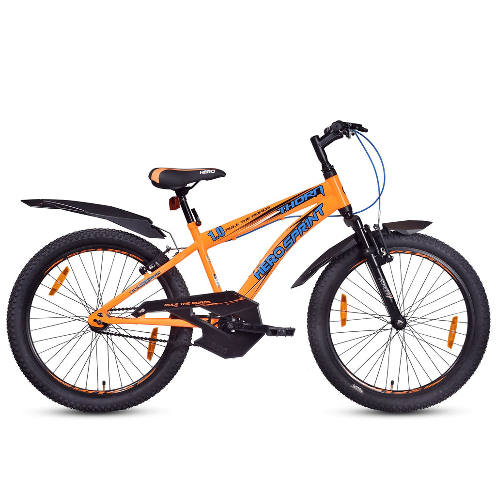 enduro e bike price