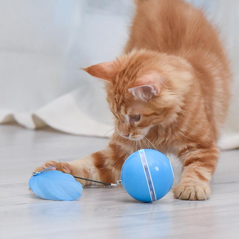 Laser Katzenball mit Feder